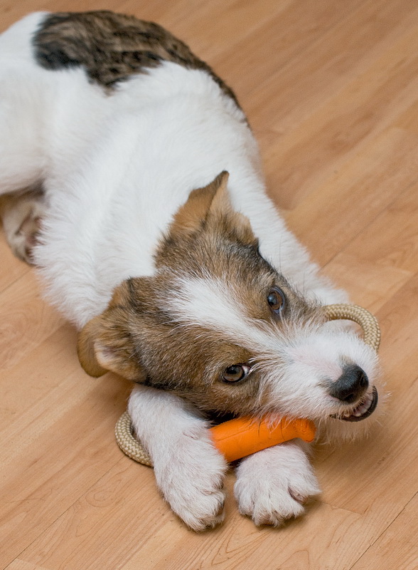 1 felix D35_3518 als Smart-Objekt-1 Kopie.jpg